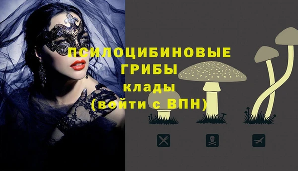 гидра Алексин