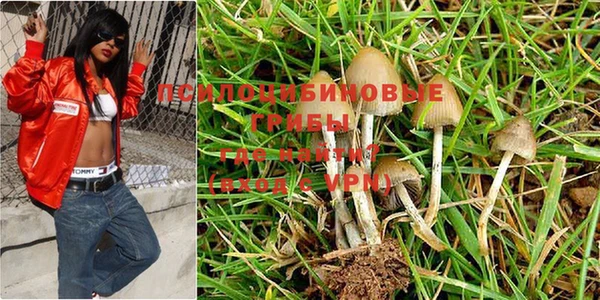 стаф Абаза