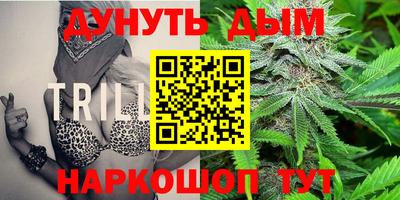 индика Малоярославец