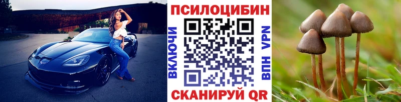 Галлюциногенные грибы Psilocybine cubensis  Рославль 