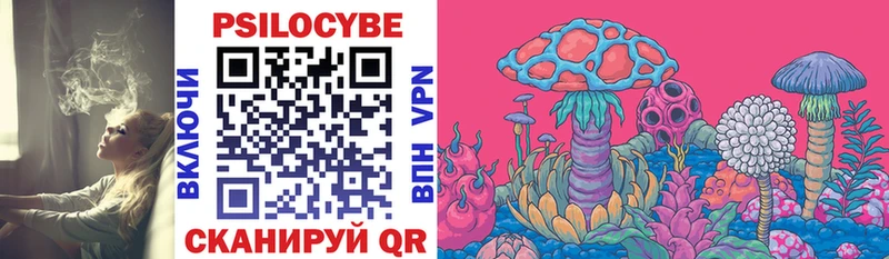 Галлюциногенные грибы Psilocybe Рославль
